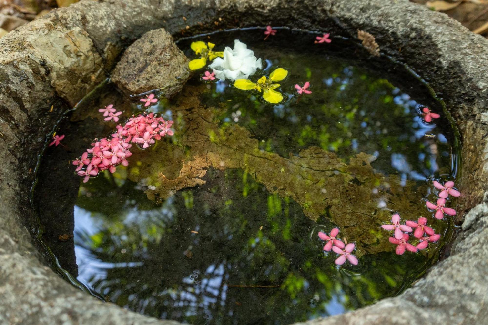 Hostal Delmy Suchitoto 외부 사진